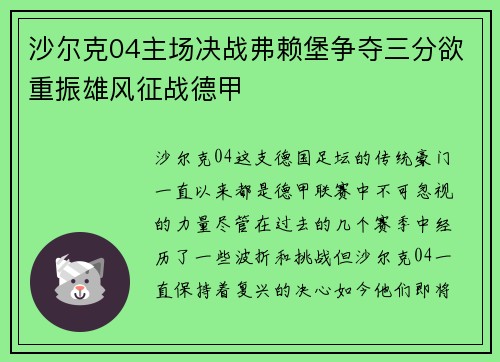 沙尔克04主场决战弗赖堡争夺三分欲重振雄风征战德甲