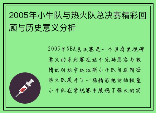 2005年小牛队与热火队总决赛精彩回顾与历史意义分析