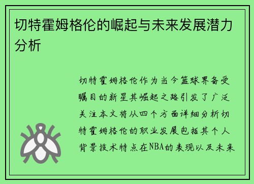 切特霍姆格伦的崛起与未来发展潜力分析